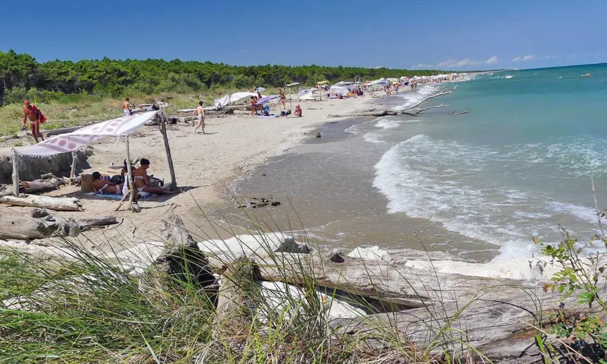 Gente rilassata sotto un telo ombreggiante sulla spiaggia della Bassona, con il mare azzurro e la pineta sullo sfondo.