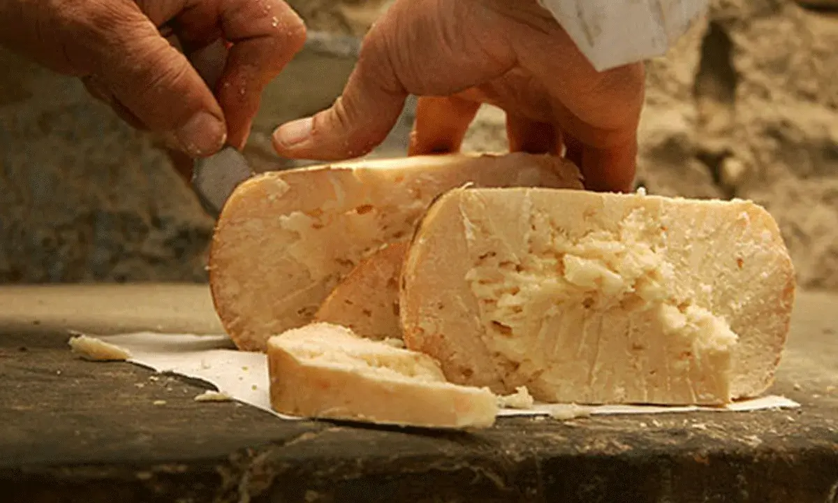 Mani esperte tagliano un pezzo di talamello formaggio di fossa, mostrando la sua consistenza rustica e invitante.