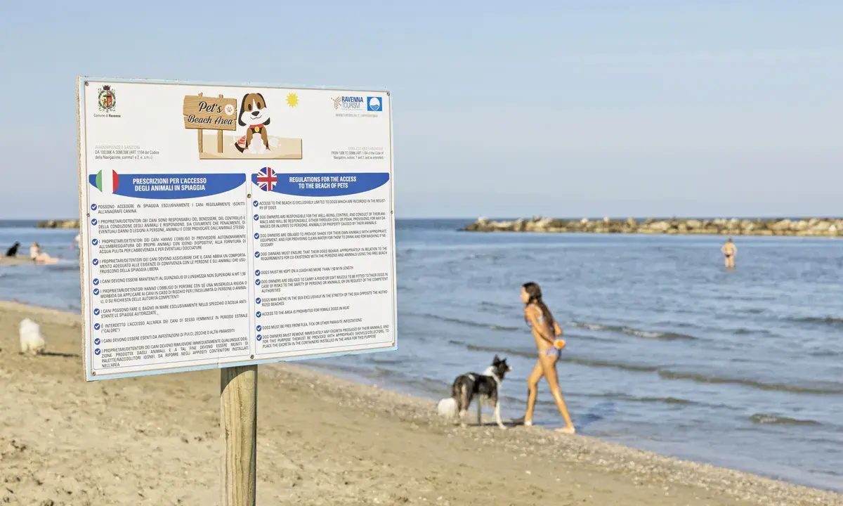Cartello informativo su spiagge per cani, con regole e prescrizioni. Un cane nero e bianco e una bambina giocano sulla riva.
