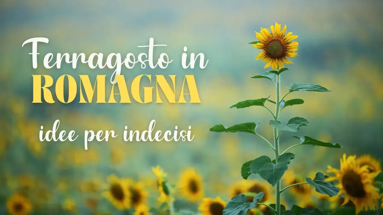 Girasole in un campo fiorito, con testo "Ferragosto in Romagna, idee per indecisi".
