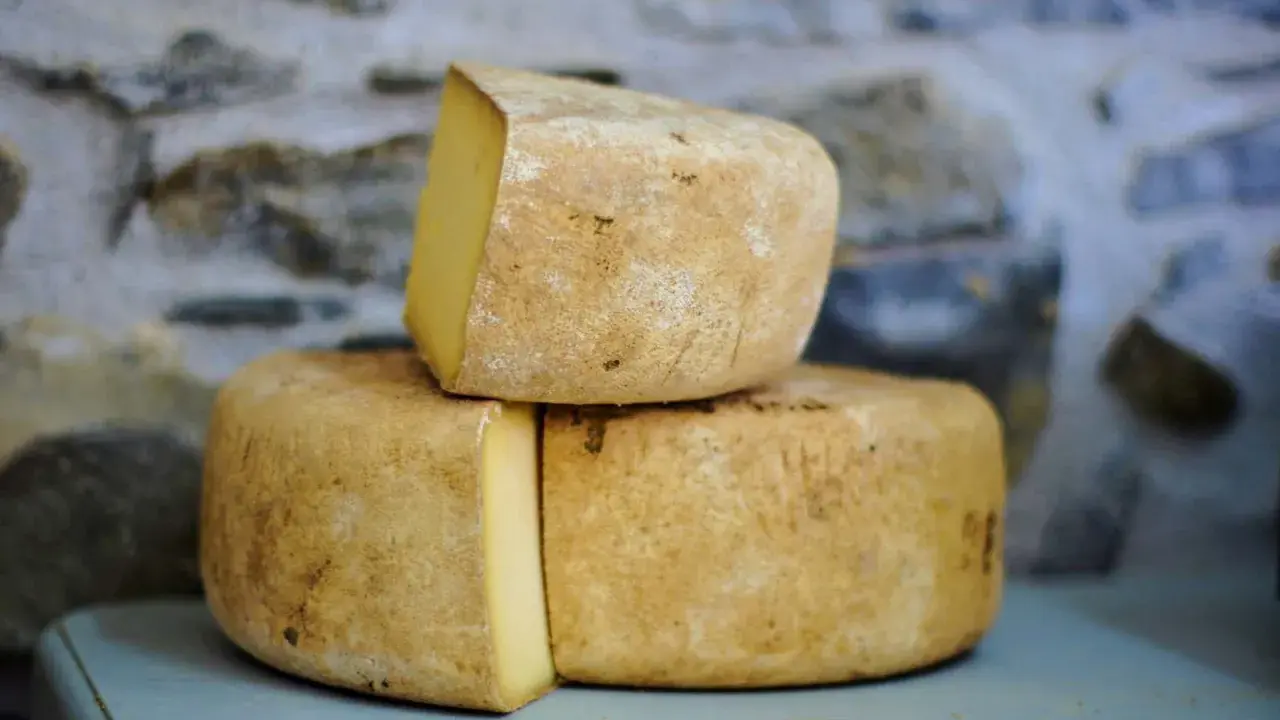 Formaggio Fossa stagionato, con crosta rustica e pasta gialla, impilato su uno sfondo di pietra grezza.