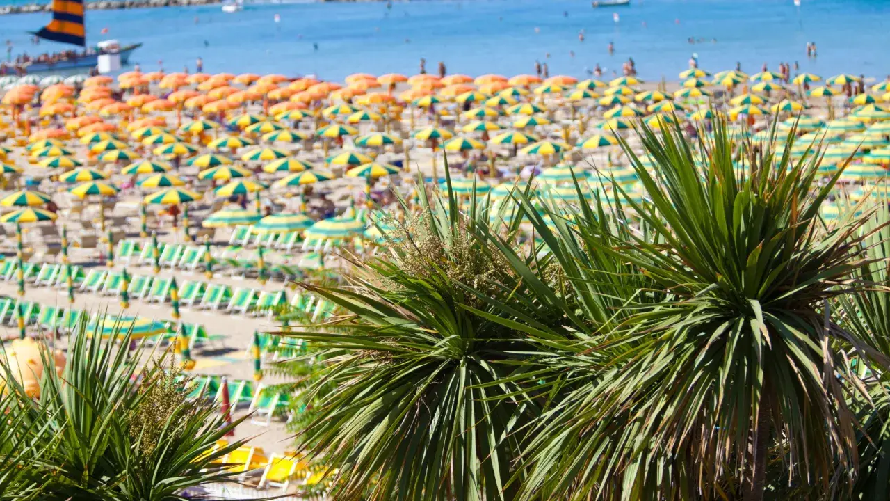 Palme verdi in primo piano su una spiaggia affollata con ombrelloni gialli e arancioni, lettini e il mare azzurro. È il mare più bello della riviera romagnola.