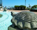 Fontana con tartarughe di pietra, un'idea di cosa visitare a Cattolica. Acqua azzurra e scorci estivi.