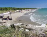 Gente rilassata sotto un telo ombreggiante sulla spiaggia della Bassona, con il mare azzurro e la pineta sullo sfondo.