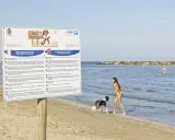 Cartello informativo su spiagge per cani, con regole e prescrizioni. Un cane nero e bianco e una bambina giocano sulla riva.