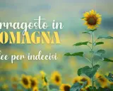Girasole in un campo fiorito, con testo "Ferragosto in Romagna, idee per indecisi".