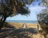 Sentiero sabbioso verso la spiaggia libera colonia marina, con alberi e mare all'orizzonte.