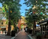 V Cervia centro, un viale alberato con festoni colorati conduce a un arco monumentale.