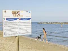 Cartello informativo su spiagge per cani, con regole e prescrizioni. Un cane nero e bianco e una bambina giocano sulla riva.
