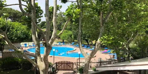 Piscina azzurra e lettini prendisole al **hotel Faro San Mauro Mare**, tra alberi rigogliosi.