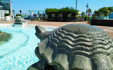 Fontana con tartarughe di pietra, un'idea di cosa visitare a Cattolica. Acqua azzurra e scorci estivi.