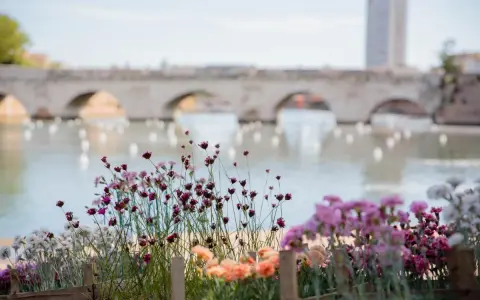 Fiori colorati in primo piano, con un ponte ad archi e un edificio sullo sfondo, ricordano una **piazza sull'acqua Rimini** in un giorno di sole.