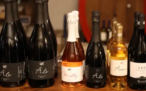 Bottiglie di spumante e passito del Podere dell'Angelo Rimini, tra cui "Ale" e "Milly", pronte per essere gustate.
