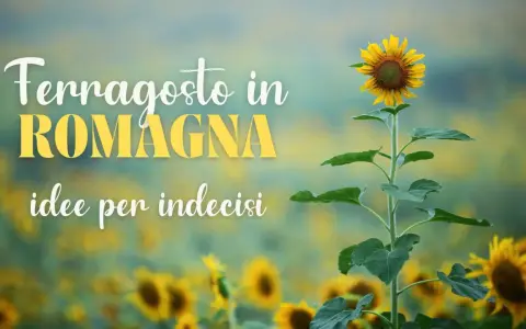 Girasole in un campo fiorito, con testo "Ferragosto in Romagna, idee per indecisi".