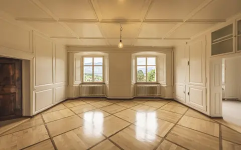 Interior of a room with ornate wooden floor, white paneled walls, two large windows with mountain views, and a single light bulb.
