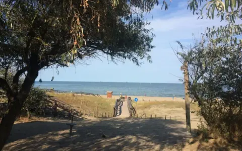 Sentiero sabbioso verso la spiaggia libera colonia marina, con alberi e mare all'orizzonte.