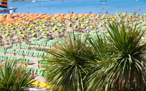 Palme verdi in primo piano su una spiaggia affollata con ombrelloni gialli e arancioni, lettini e il mare azzurro. È il mare più bello della riviera romagnola.