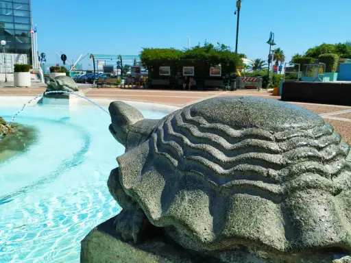Fontana con tartarughe di pietra, un'idea di cosa visitare a Cattolica. Acqua azzurra e scorci estivi.