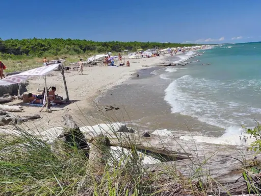 Gente rilassata sotto un telo ombreggiante sulla spiaggia della Bassona, con il mare azzurro e la pineta sullo sfondo.