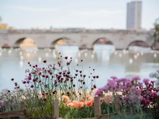 Fiori colorati in primo piano, con un ponte ad archi e un edificio sullo sfondo, ricordano una **piazza sull'acqua Rimini** in un giorno di sole.