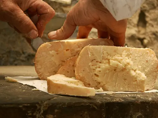 Mani esperte tagliano un pezzo di talamello formaggio di fossa, mostrando la sua consistenza rustica e invitante.