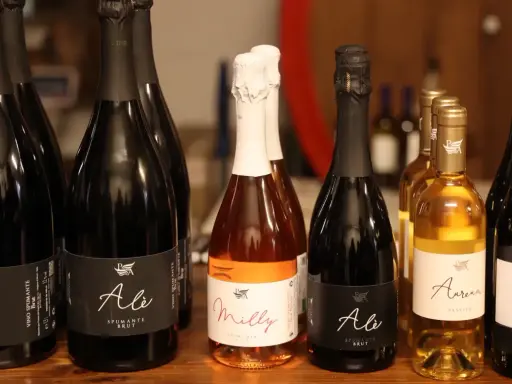 Bottiglie di spumante e passito del Podere dell'Angelo Rimini, tra cui "Ale" e "Milly", pronte per essere gustate.