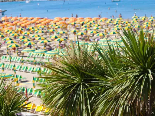 Palme verdi in primo piano su una spiaggia affollata con ombrelloni gialli e arancioni, lettini e il mare azzurro. È il mare più bello della riviera romagnola.
