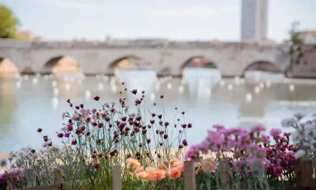 Fiori colorati in primo piano, con un ponte ad archi e un edificio sullo sfondo, ricordano una **piazza sull'acqua Rimini** in un giorno di sole.