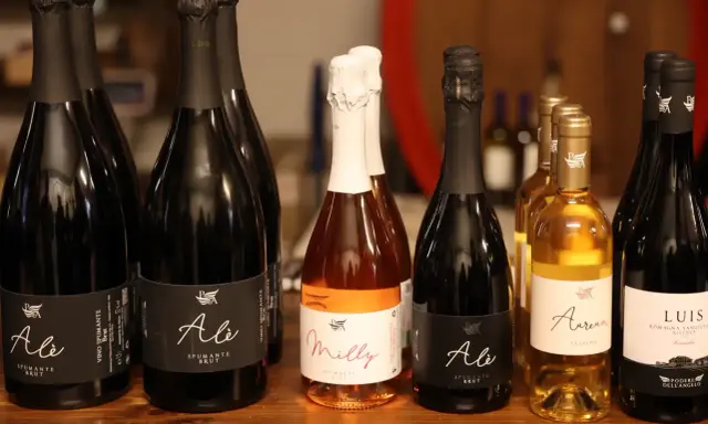 Bottiglie di spumante e passito del Podere dell'Angelo Rimini, tra cui "Ale" e "Milly", pronte per essere gustate.