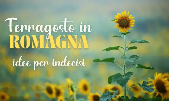 Girasole in un campo fiorito, con testo "Ferragosto in Romagna, idee per indecisi".
