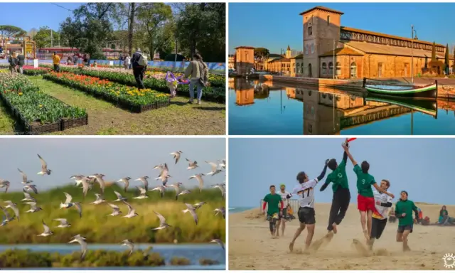 Fiori colorati, un canale con barca, stormo di uccelli e ragazzi che giocano a frisbee sulla spiaggia: un'allegra Pasquetta in Romagna.