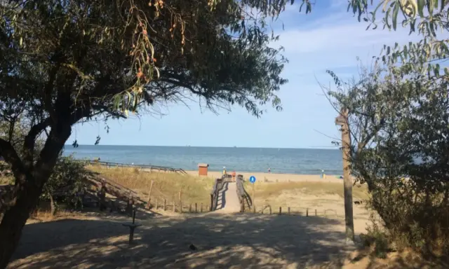 Sentiero sabbioso verso la spiaggia libera colonia marina, con alberi e mare all'orizzonte.