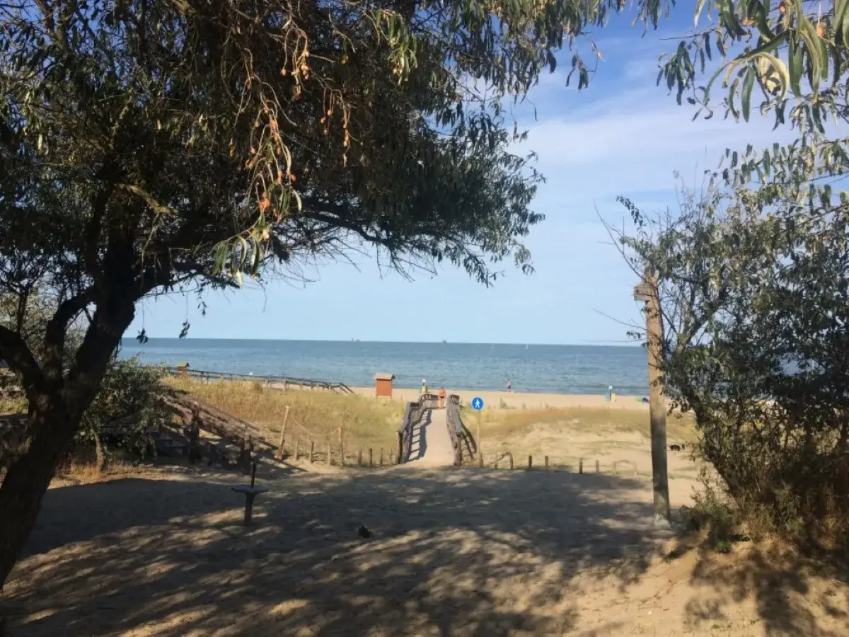 Sentiero sabbioso verso la spiaggia libera colonia marina. Alberi ombrosi e mare azzurro all'orizzonte.