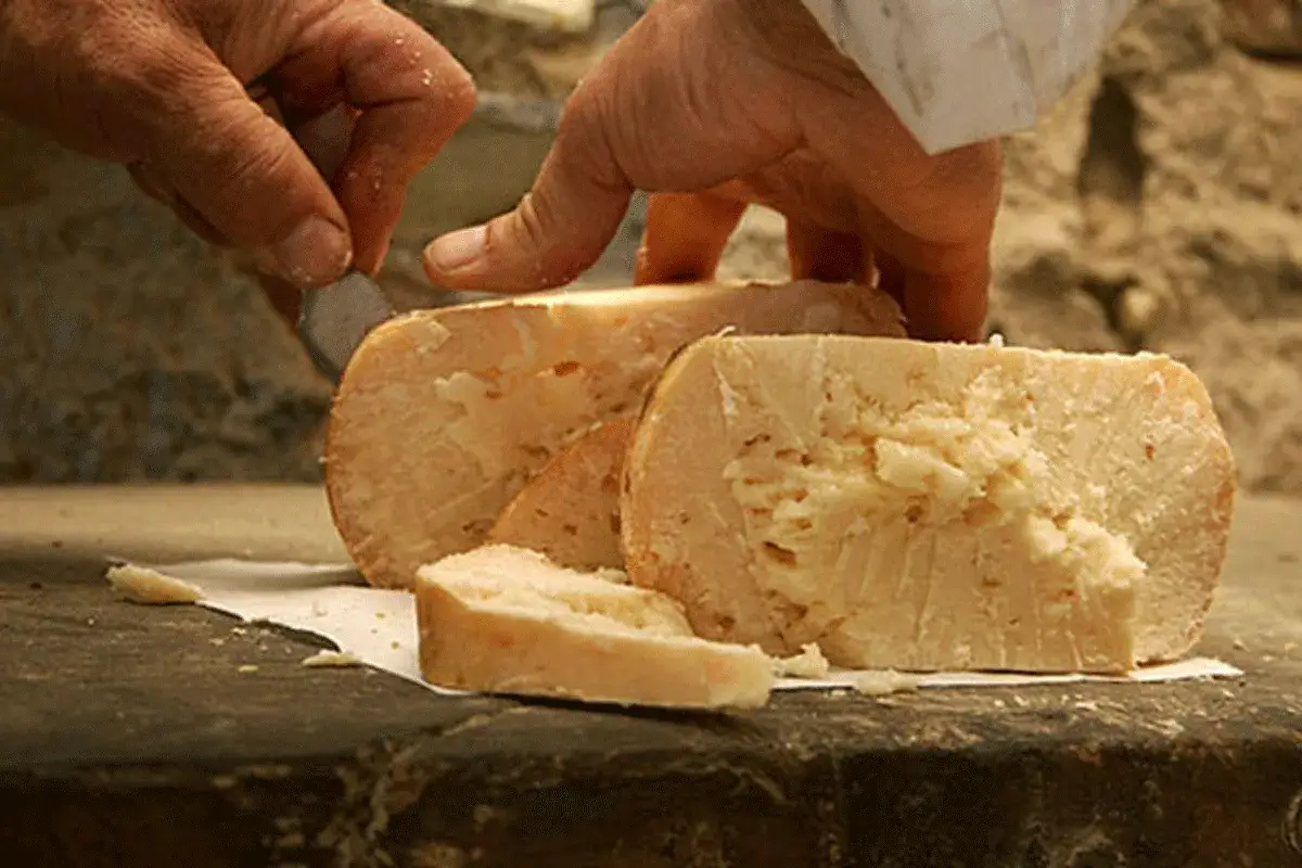 Mani esperte tagliano un pezzo di talamello formaggio di fossa, rivelando la sua pasta friabile e saporita.