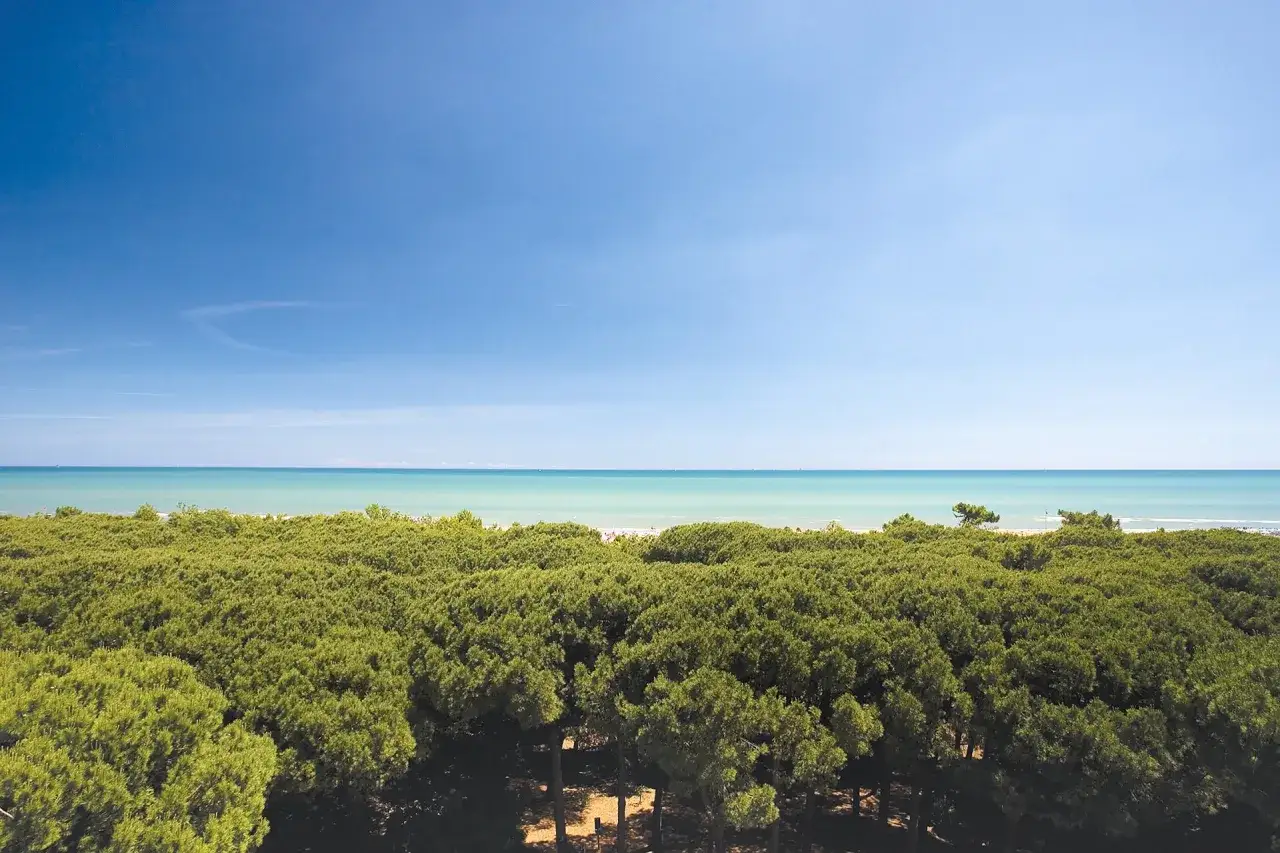 Pineta lussureggiante che si estende verso il mare turchese, un angolo di pace a Cervia Milano Marittima.