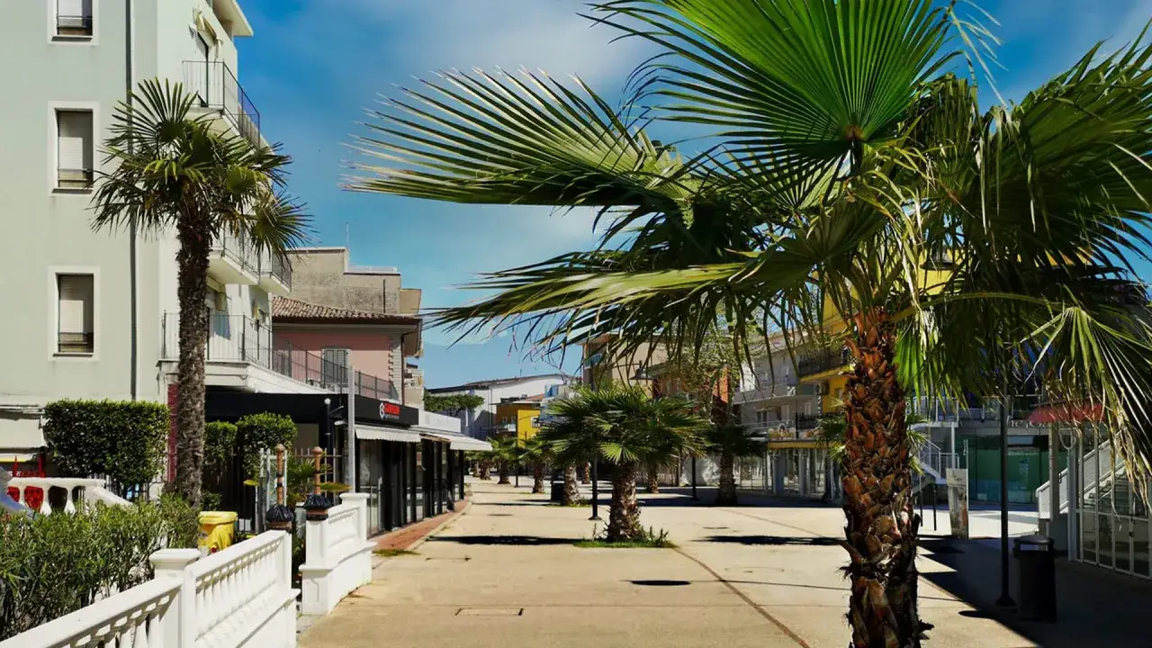 Viale alberato con palme nel cattolica centro, edifici colorati e negozi con vetrine.