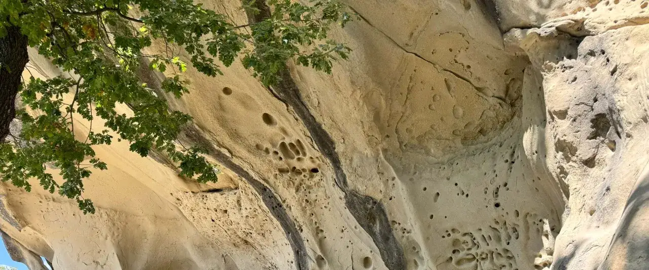 Le grotte di soprasasso scavate nella roccia calcarea, con rami verdi che le ombreggiano.