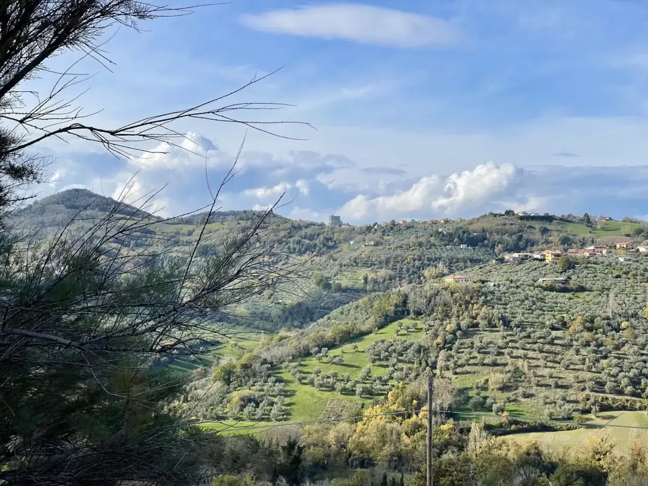 Colline ondulate della Valconca, Rimini, con uliveti e un borgo in lontananza sotto un cielo nuvoloso.