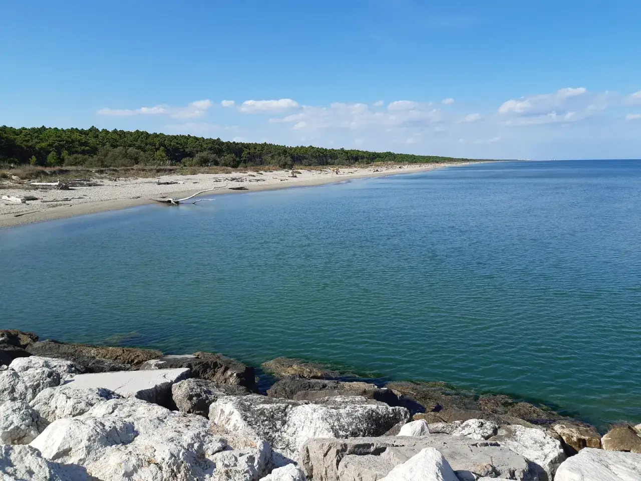 Mare calmo e limpido, spiaggia dorata con pini marittimi, un vero mare lido di classe.