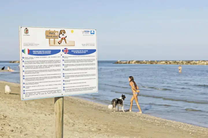 Cartello informativo su spiagge per cani, con regole e prescrizioni. Un cane nero e bianco e una bambina giocano sulla riva.
